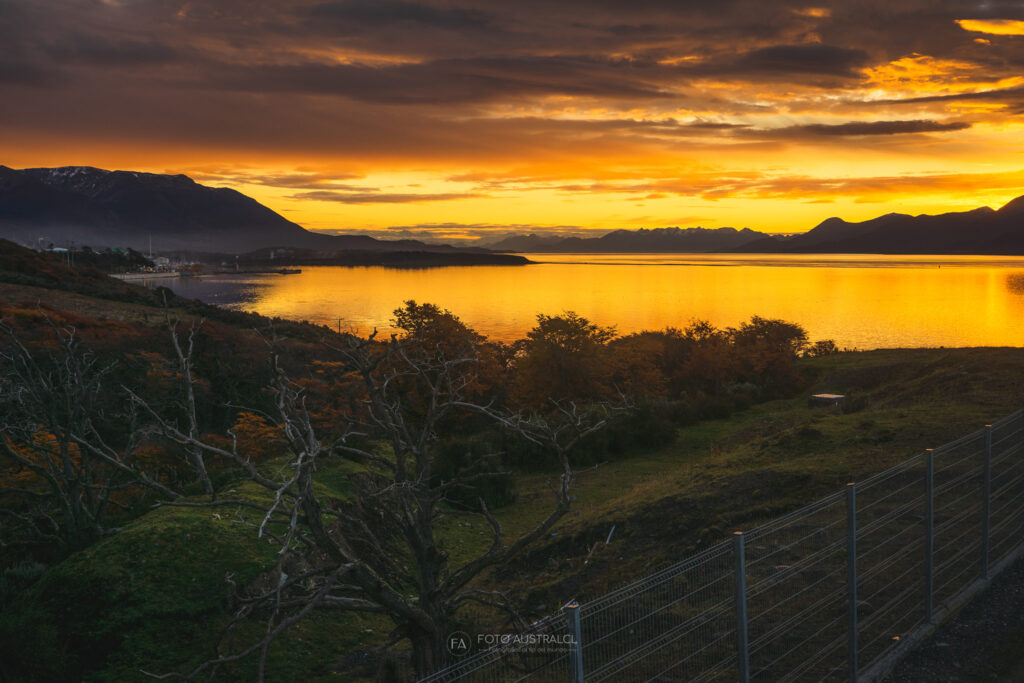 Panoramica del Canal Beagle y Puerto Williams