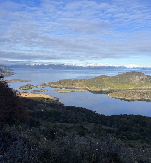Paisaje de montañas y bosques subantárticos en Isla Navarino